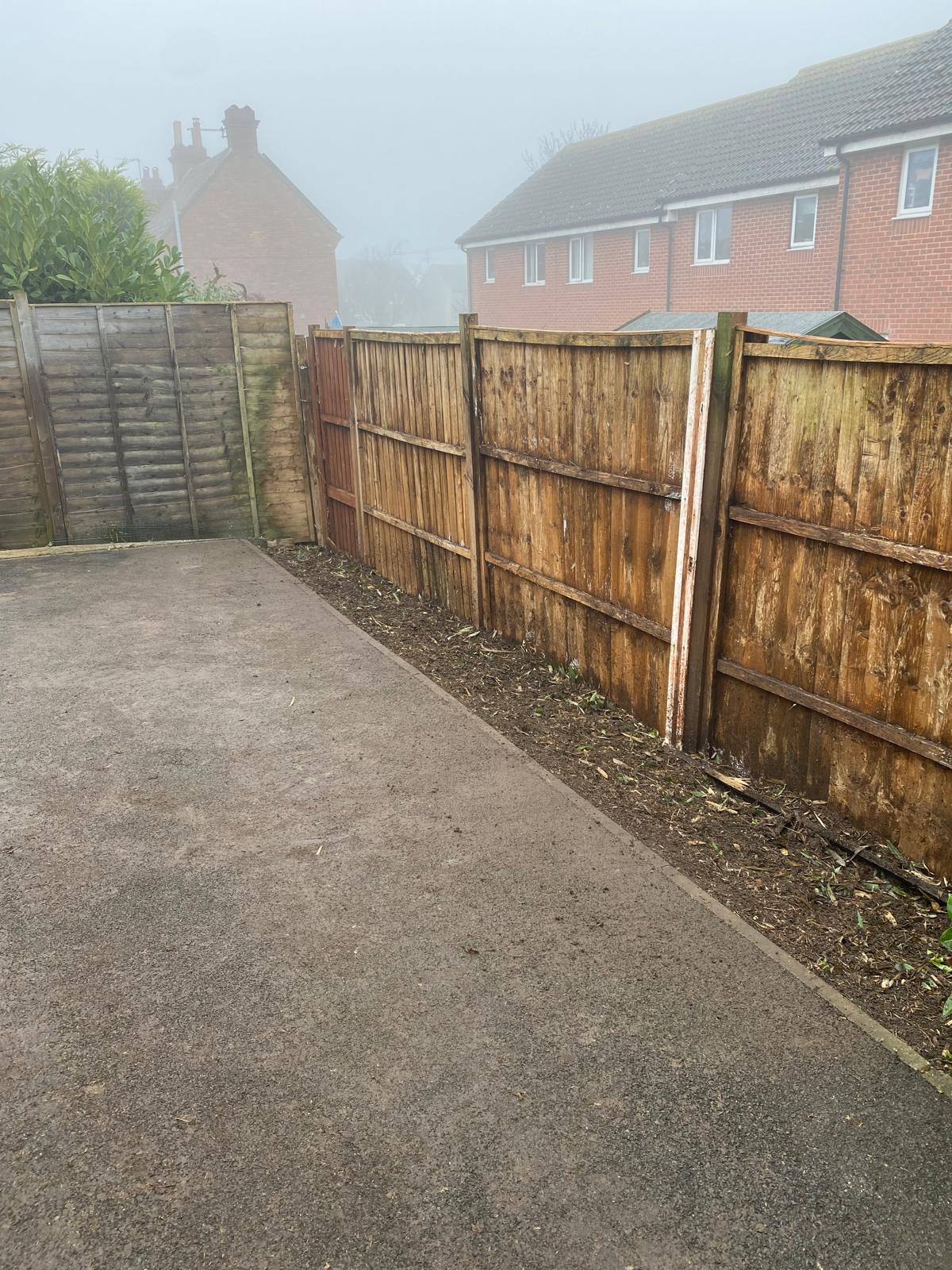 Overgrown hedge cleared in Somerset